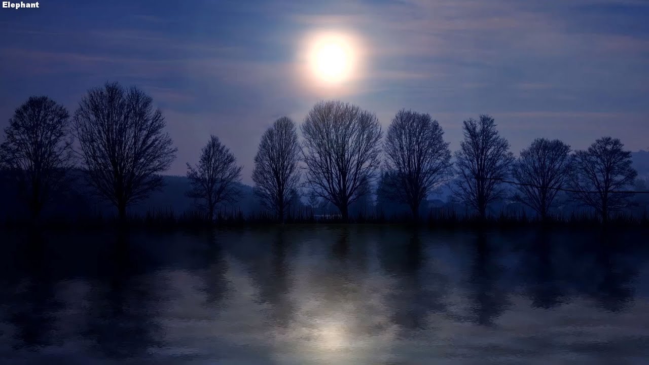 NGỦ NGON TRONG 5 PHÚT🌙 Giảm căng thẳng, lo lắng và trầm cảm - Cải thiện tâm trạng của bạn