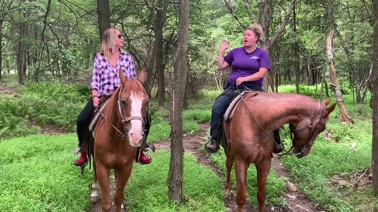 Horsin’ Around at The Ranch