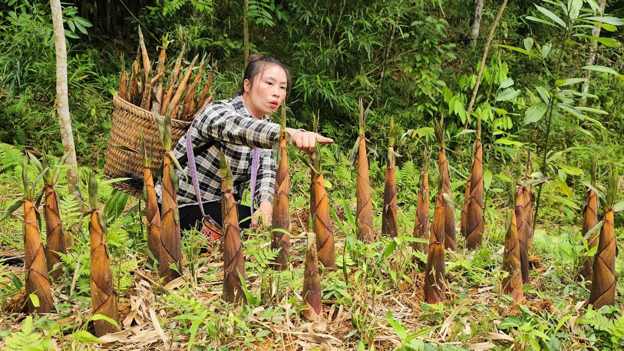 My daily life is harvesting bamboo shoots to sell and taking care of my daughter. | Tương Thị Mai