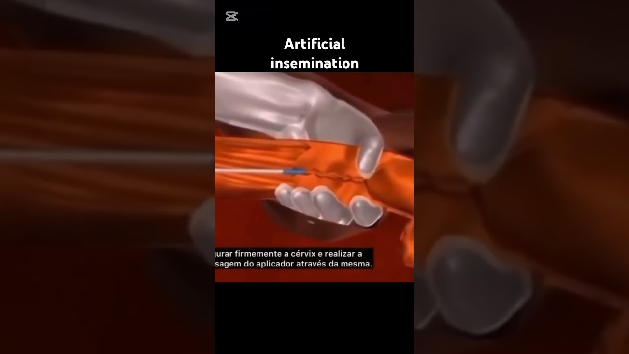 Artificial insemination in cow #ArtificialInsemination #DairyFarming #CattleBreeding #Livestock