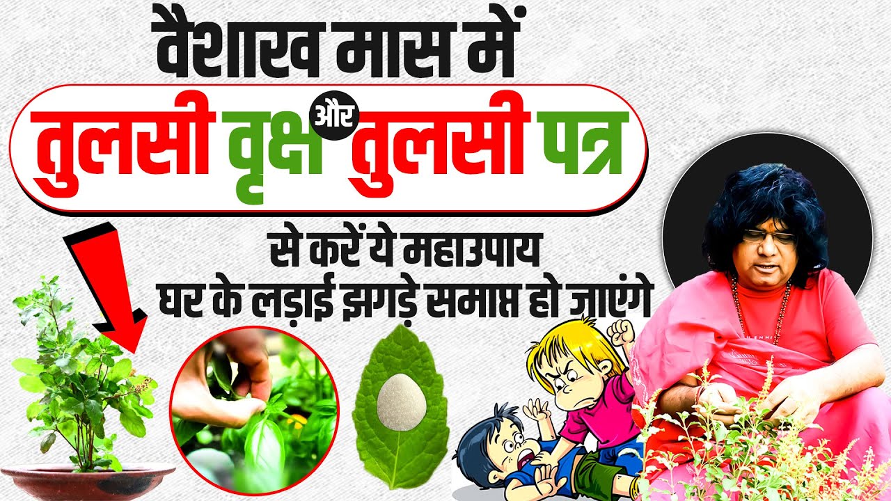 वैशाख मास में तुलसी वृक्ष और तुलसी पत्र से करें ये महाउपाय, घर के लड़ाई झगड़े समाप्त हो जाएंगे