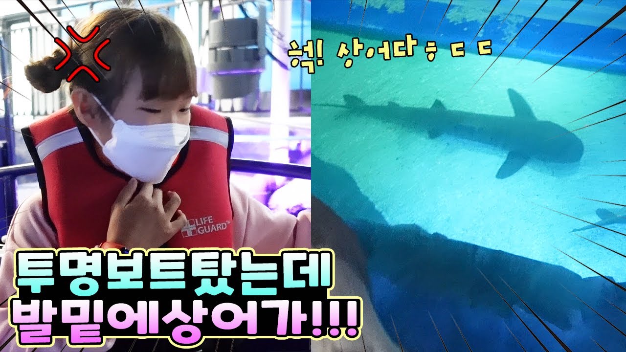 투명 보트 탔는데 발 밑에 상어가 너무 많아요!! 어떡하죠? (feat. 아쿠아플라넷 광교) 가족 일상 브이로그 vlog - [나다린TV]