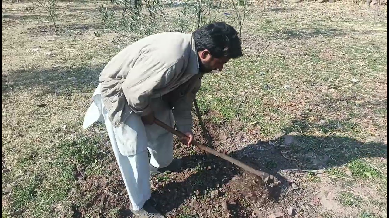 #unfrezzmyaccount #followforfollowback #jannatkashmir #culture #highlights 
