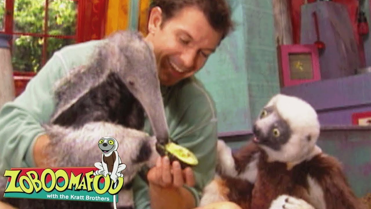 Formigas e Comedores | Zoboomafoo Português - WildBrain | Episódios Completos para Crianças