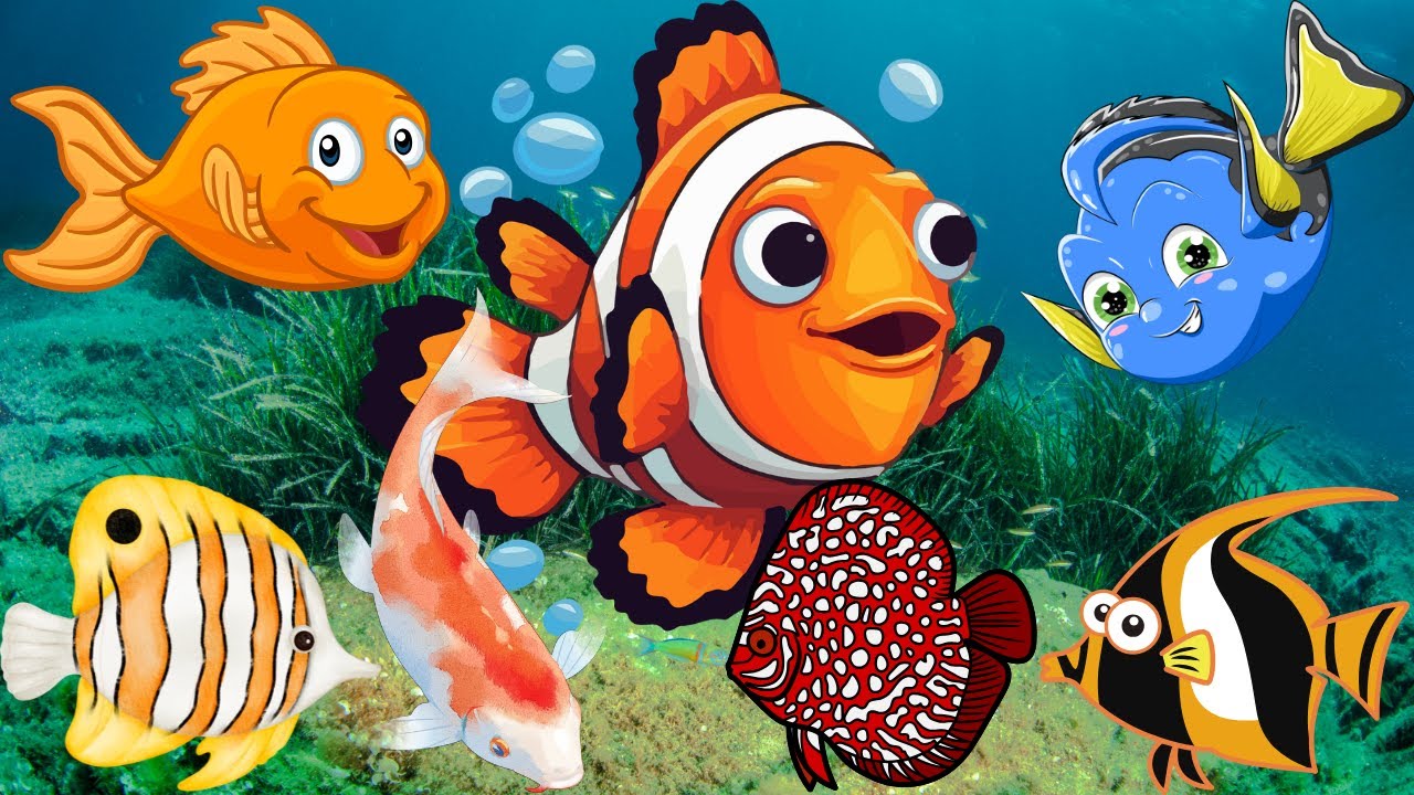 Aquarium for kids || Aquarium for babies || Aquarium for toddlers || BrightKidz || #brightkidz
