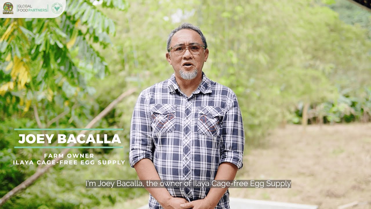 Creating a Cage-free Ecosystem in the Philippines