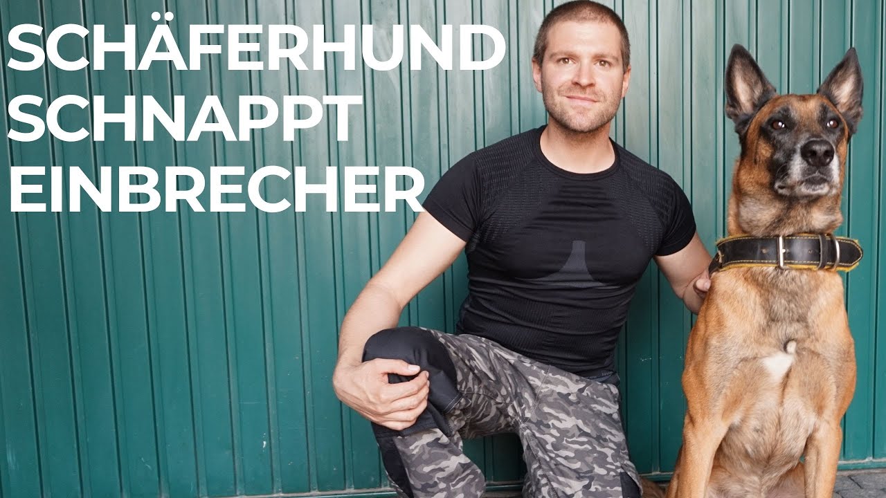 SCHÄFERHUND schnappt Einbrecher im Geisterdorf | Immerath