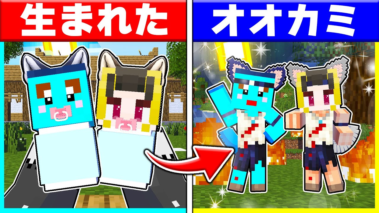 オオカミに育てられた兄弟が人間になるまで...【まいくら/マインクラフト】