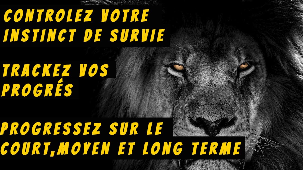 4 éléments pour BÉTONNER votre Augmentation de vitesse