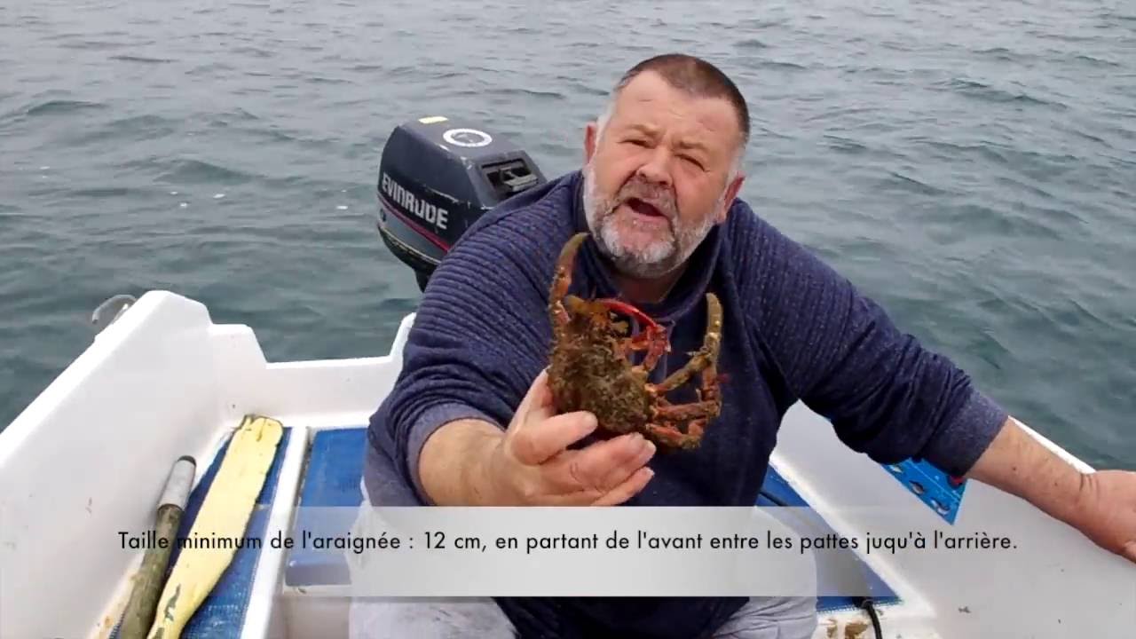 Pêche à l'araignée à la balancine