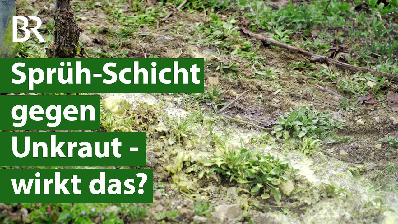 Statt Pestizide: Unkraut bekämpfen mit Sprüh-Folie aus nachwachsenden Rohstoffen | Unser L