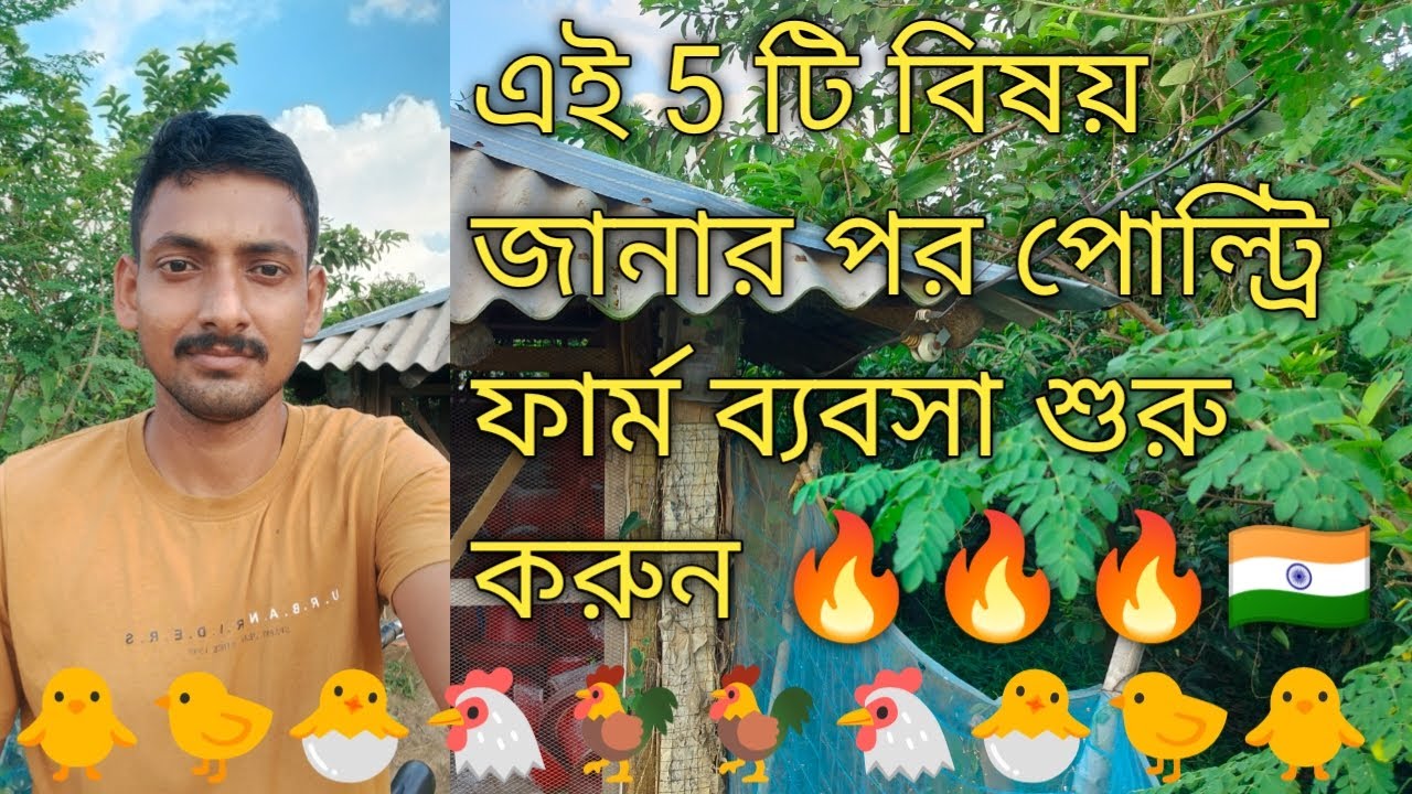 এই 5 টি বিষয় জানার পর পোল্ট্রি ফার্ম ব্যবসা শুরু করুন/ poultry farm/ chicken farm/ boiler farm/ new