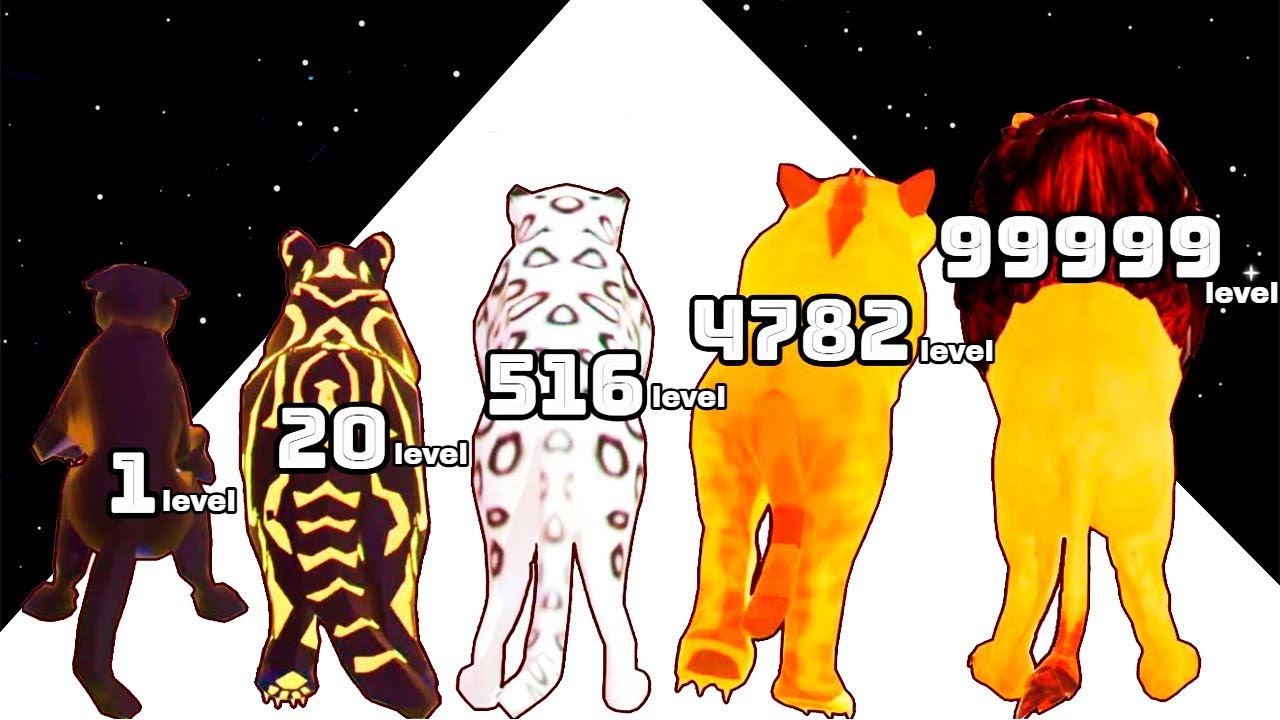 Cat Runner Evolution - Level Up Runner Cat All Levels Gameplay