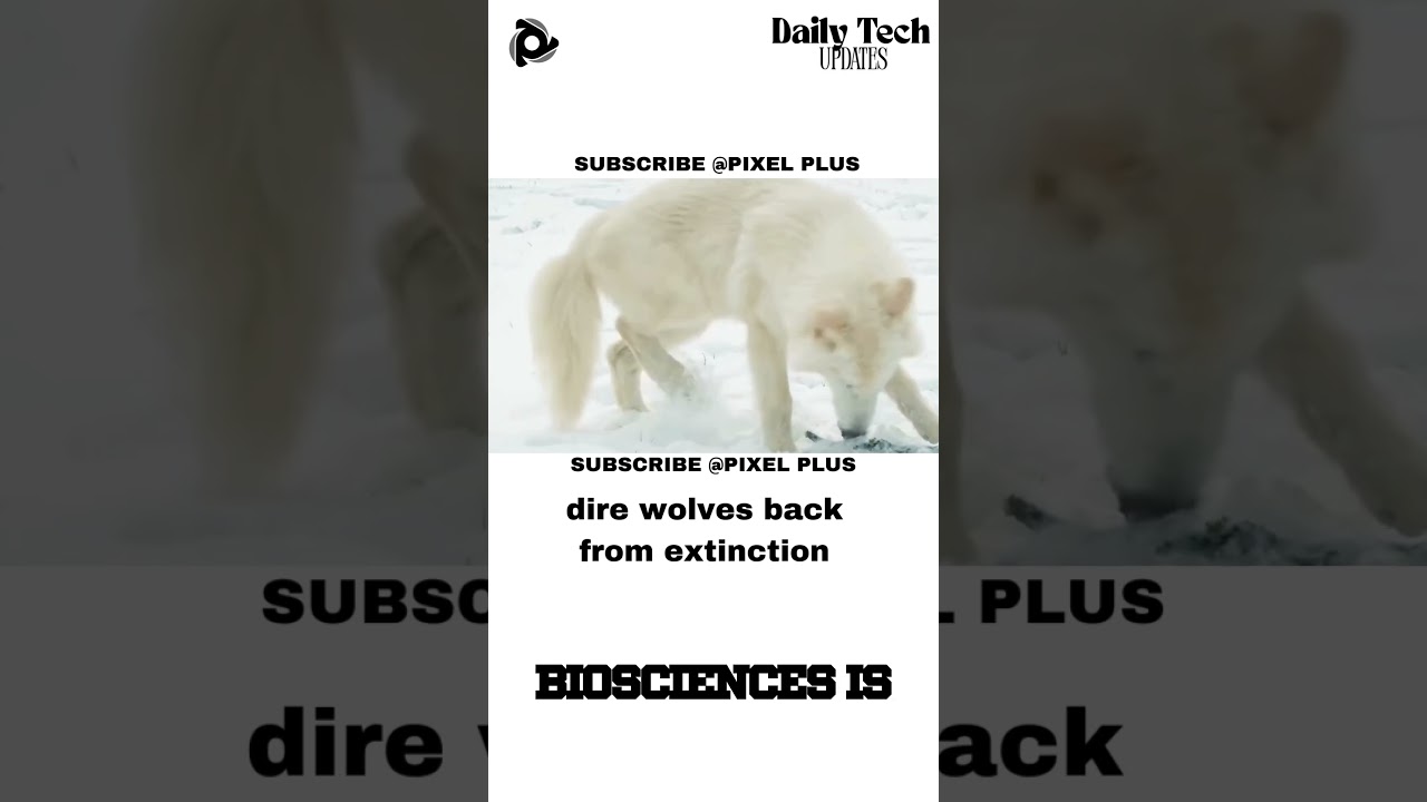 dire wolves back from extinction 