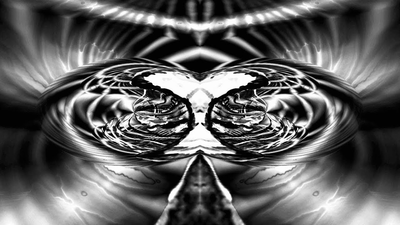 universo 113