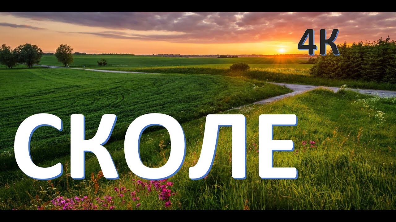 Сколе з висоти пташиного польоту