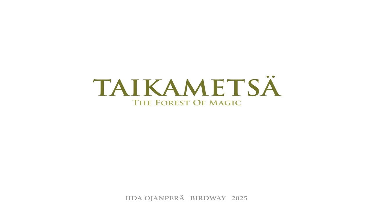 TAIKAMETSÄ - THE FOREST OF MAGIC (BirdWay - Konstrundan 2025)