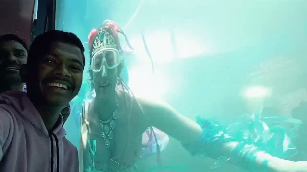 JAL PARI MOLA KISS KRT HE OTEBANDH MANDAI KE LAST VLOG HRE JII♥️#publiclife#minivlog#vlog#fullpublic