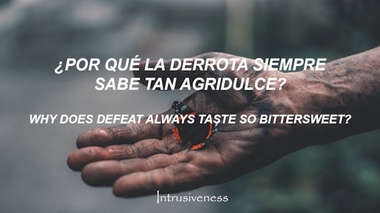 Architects - Dead Butterflies // Sub Español - Lyrics