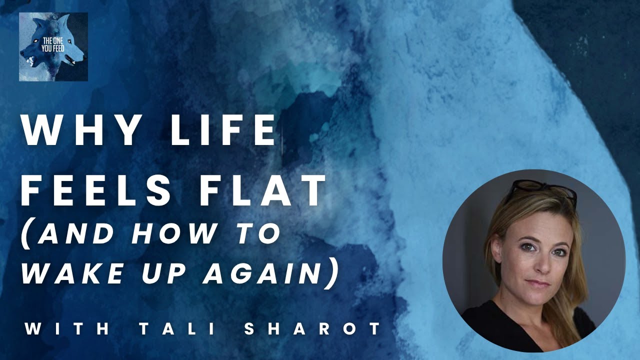 Why We Stop Noticing What Matters and How to Feel Alive Again with Tali Sharot| The One You Feed