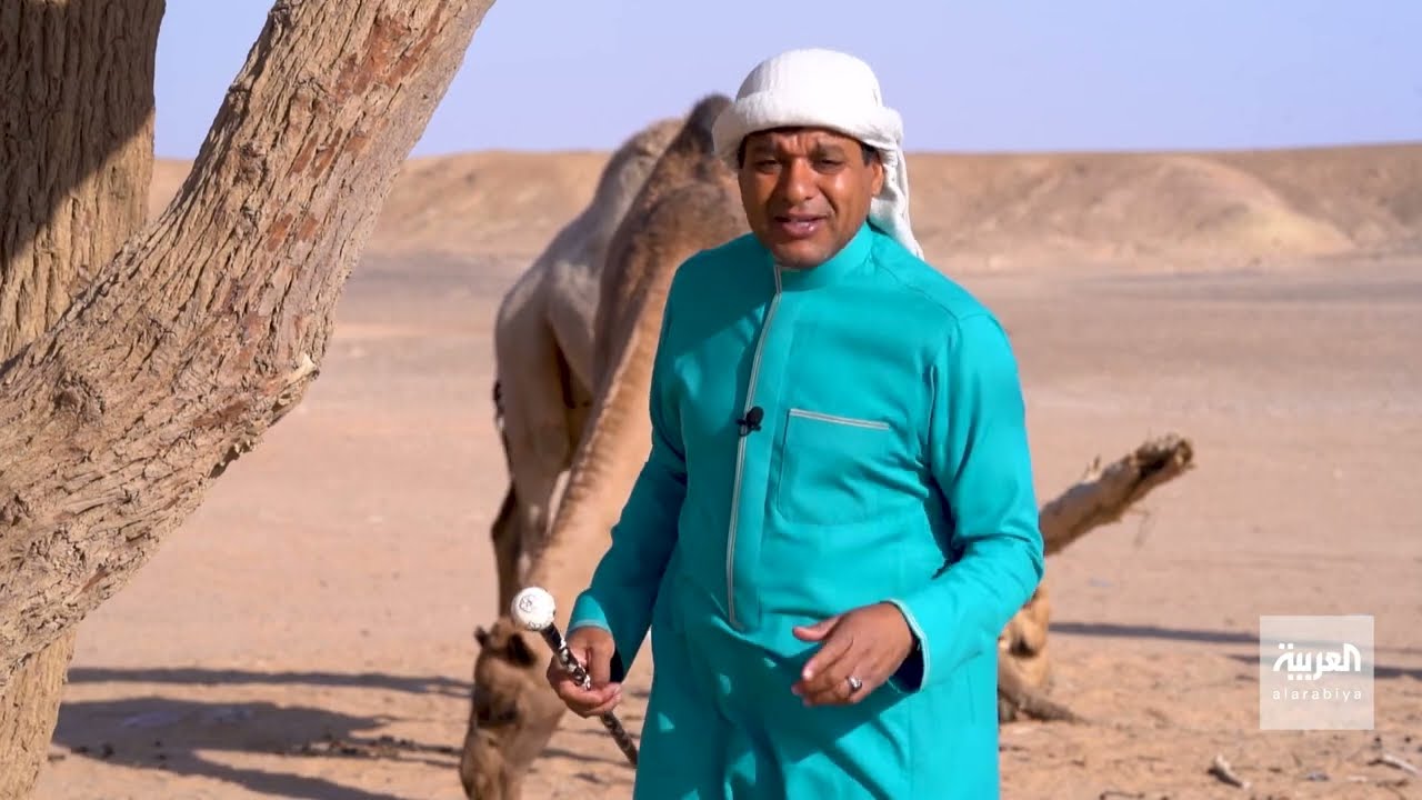 تقويم | سحب موسم 