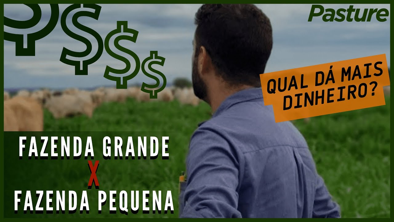FAZENDA COMPACTA |  Como uma fazenda ''PEQUENA'' pode dar mais DINHEIRO que uma GRANDE?