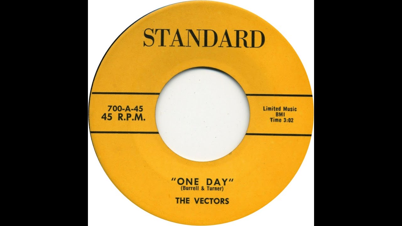 VECTORS  ONE  DAY
