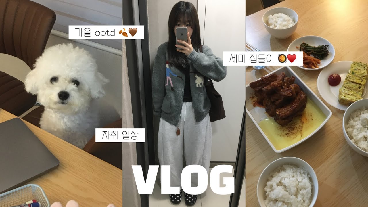 vlog. 요즘 일상 . . . | 세미 집들이 !!🌀(with mom&혈육), 가을 ootd, 버터고추장등갈비찜, 신상 촬영, 자취생 브이로그, 쇼핑몰 포장 브이로그📦