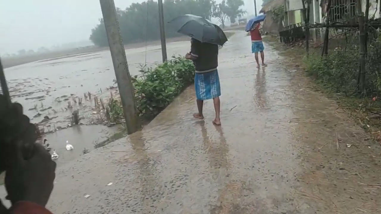  West Bengal #farming #farming 