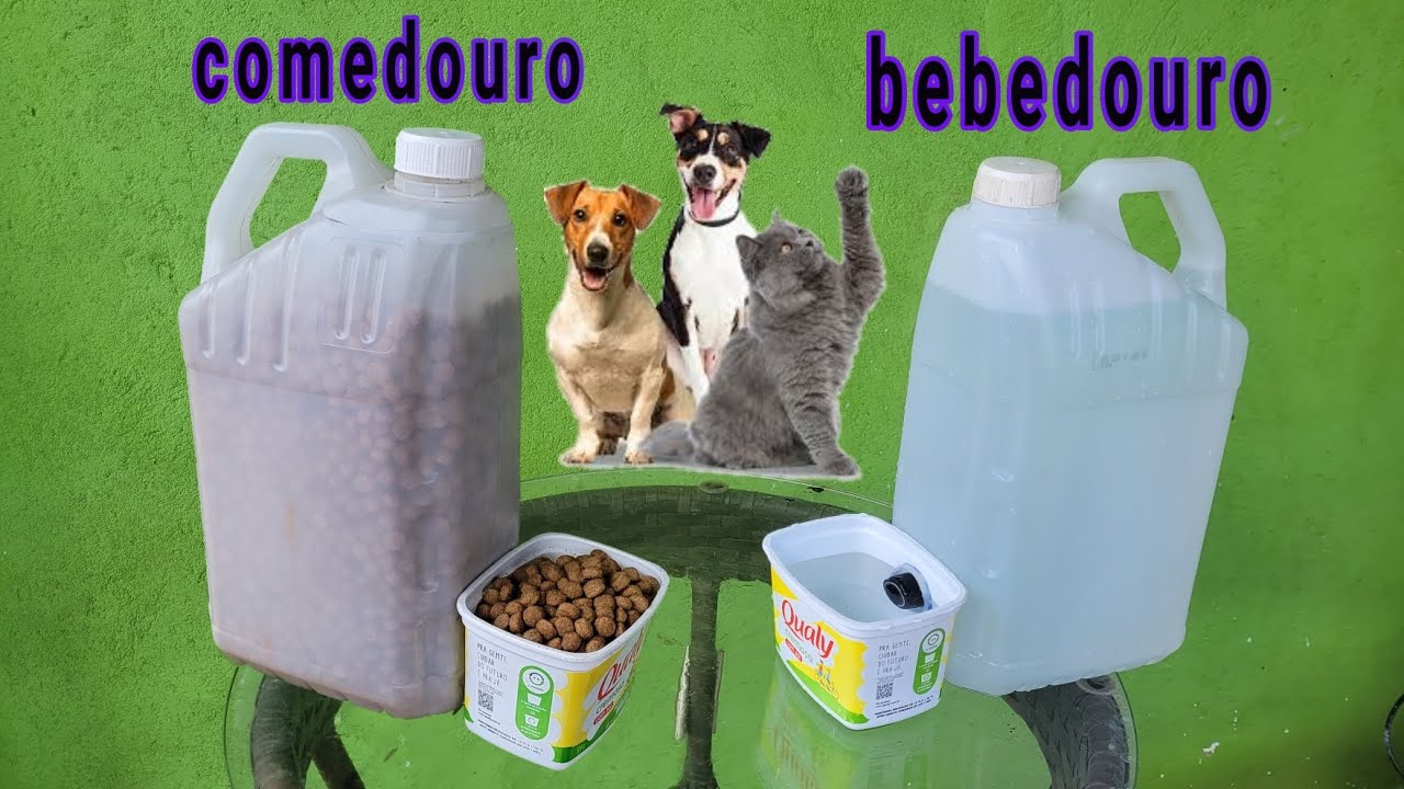 ideia genial comedouro e bebedouro automático caseira com galão de 5L e garrafa  pet  bebedouro