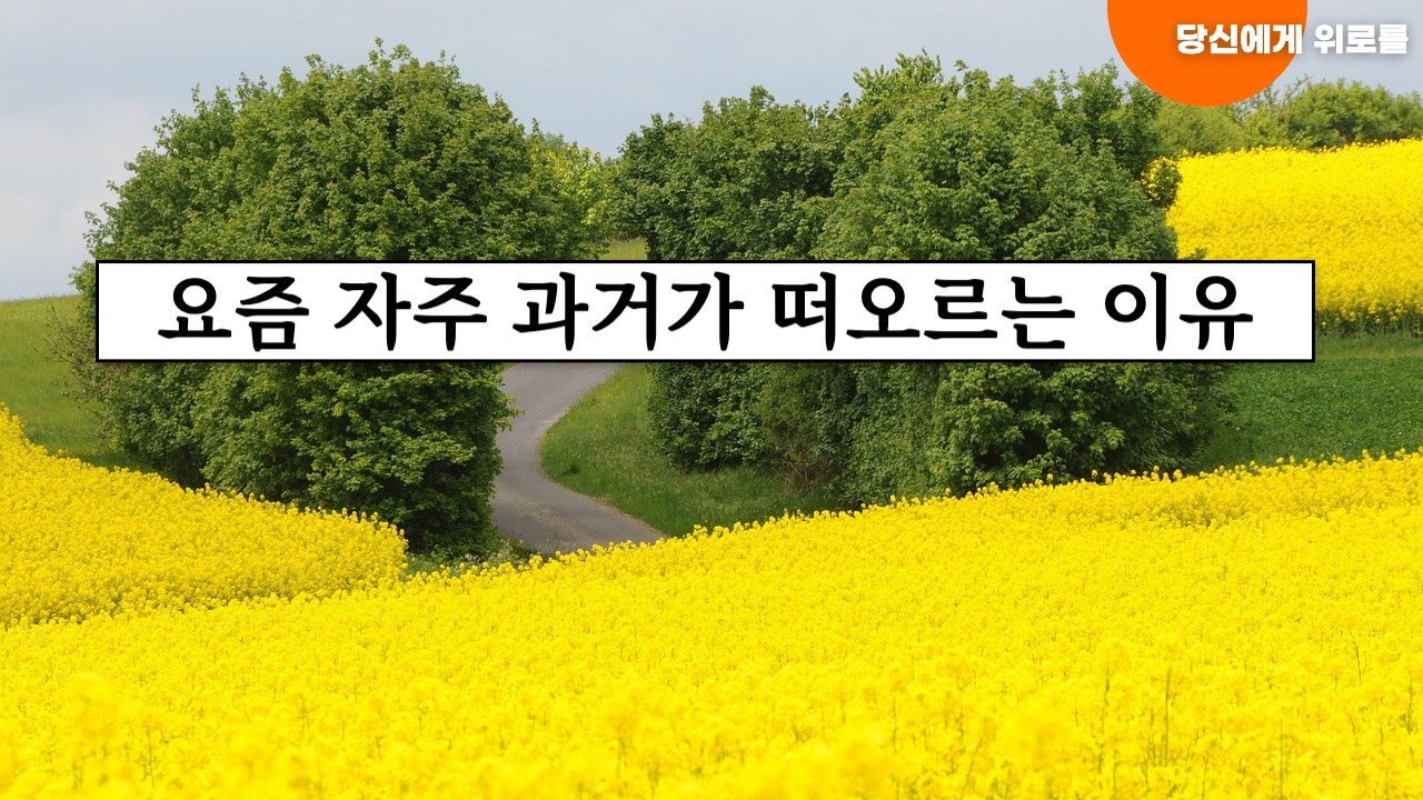 요즘 자주 과거가 떠오르는 이유