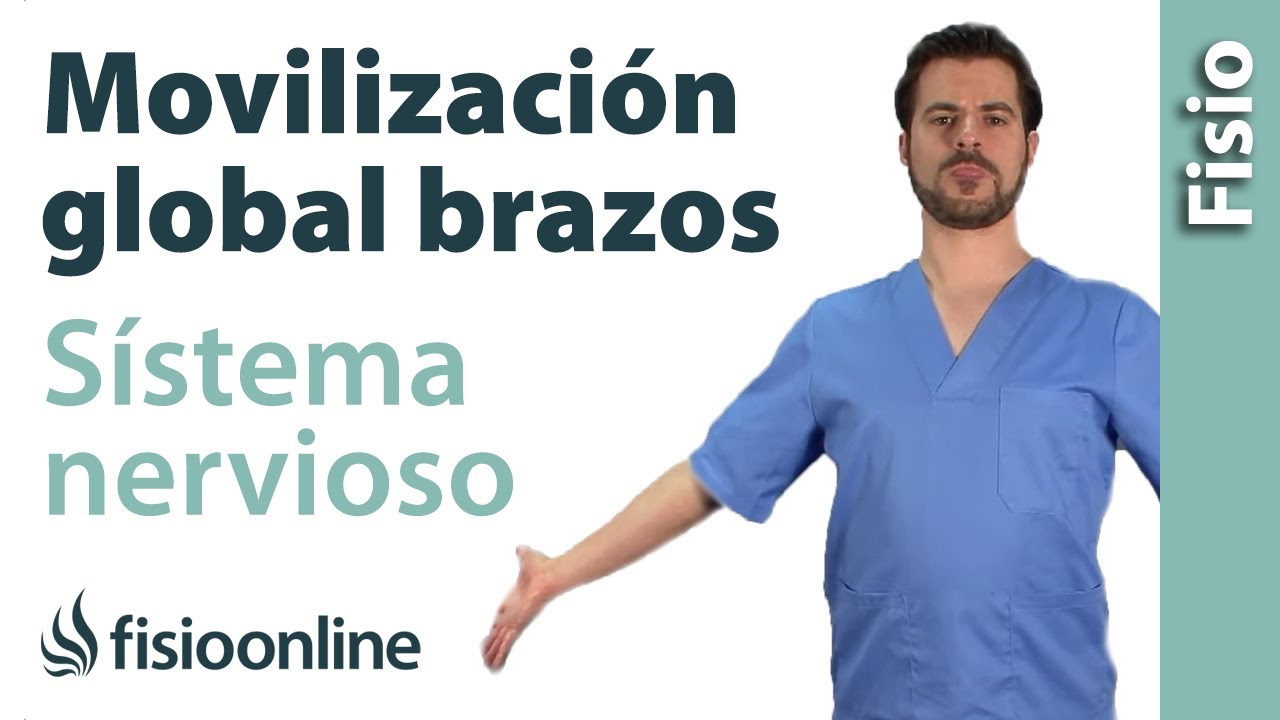 Movilizacion global de sistema nervioso de los brazos.