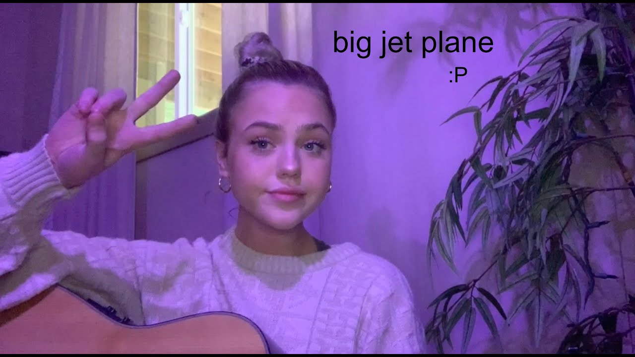 big jet plane cover