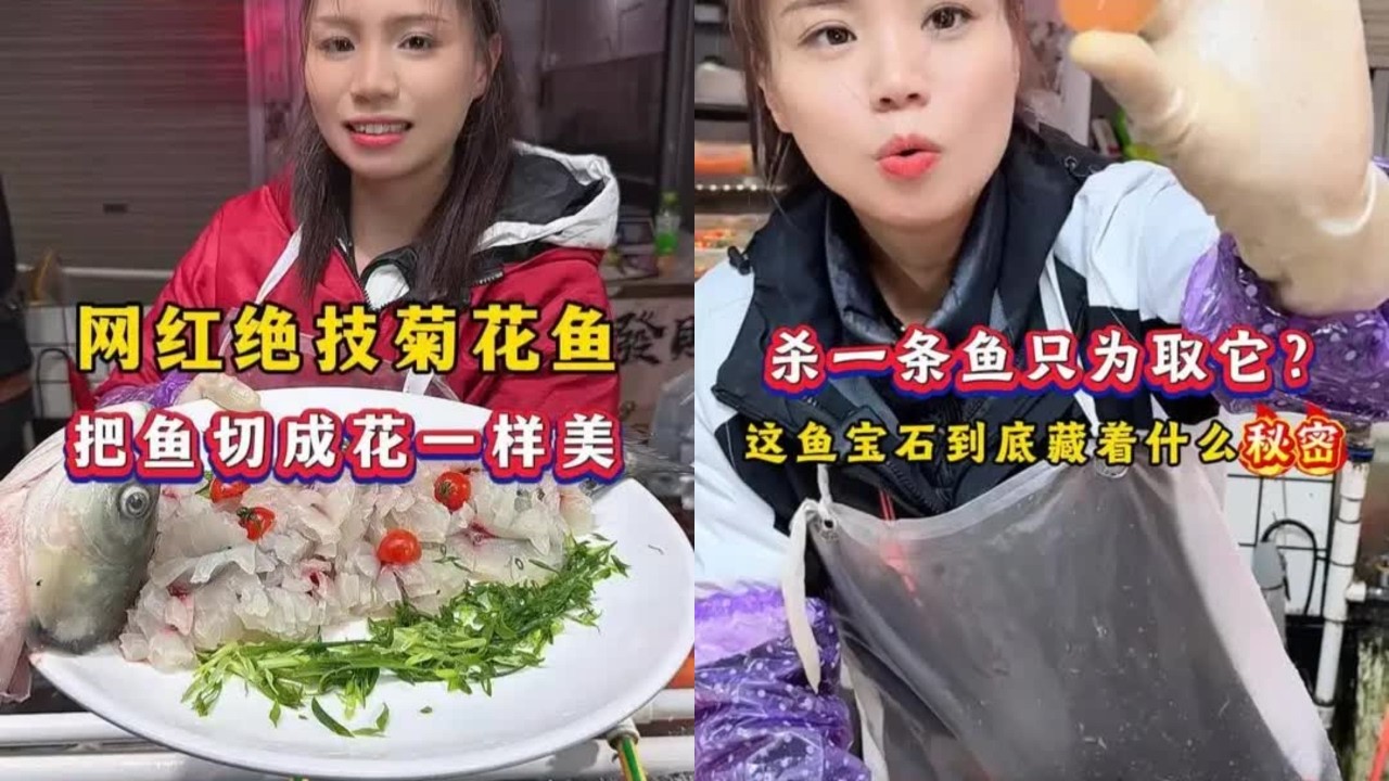网红绝技菊花鱼 网红绝技菊花鱼，把鱼切成花一样美#菊花鱼教程，杀一条鱼只为取它？ 杀一条鱼只为取它？这鱼宝石到底藏着什么秘密#鱼宝石 #青鱼处理手法 #杀鱼西施 #同款小刀