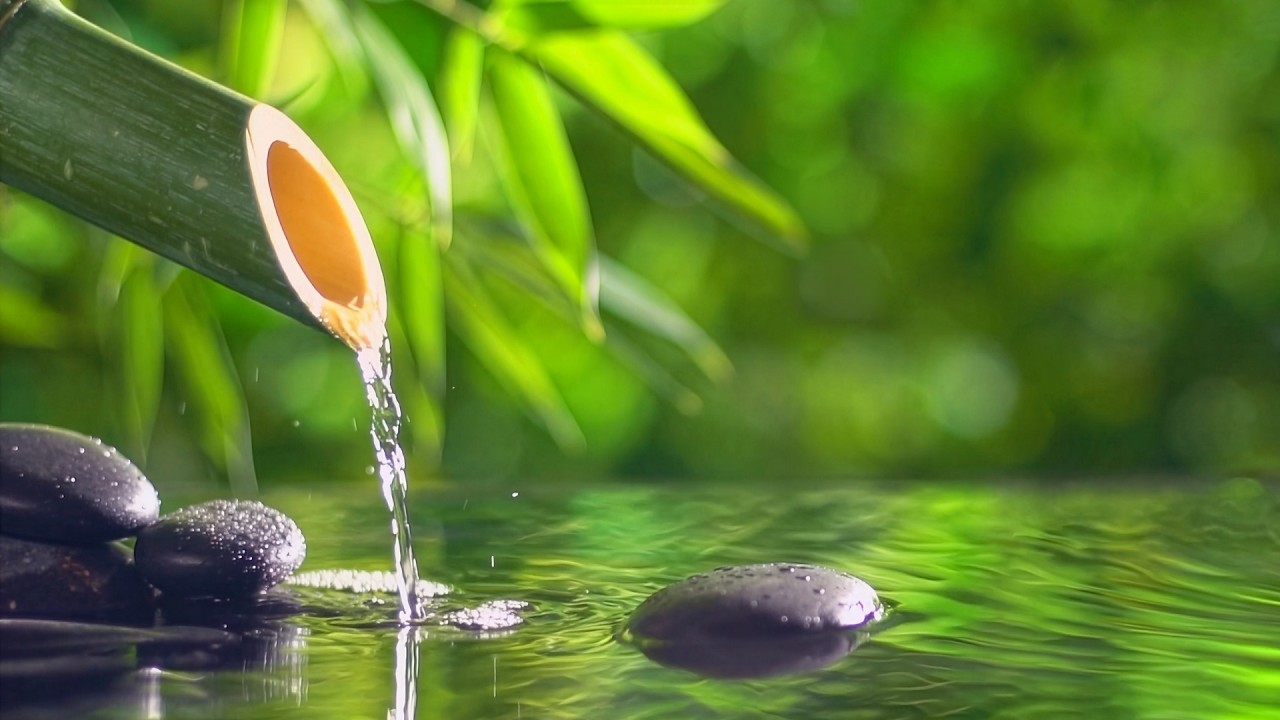 Relaxing Piano & Water Sounds 💧 Radio
