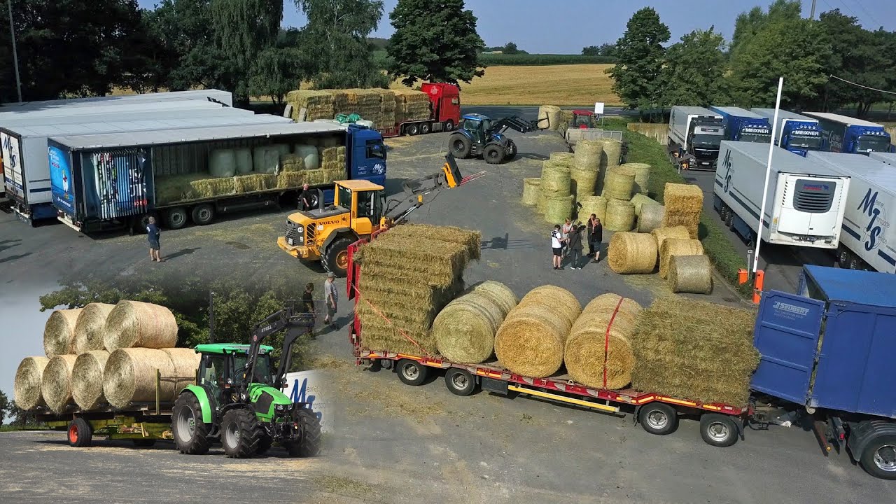 Futterspende für Flutopfer in NRW