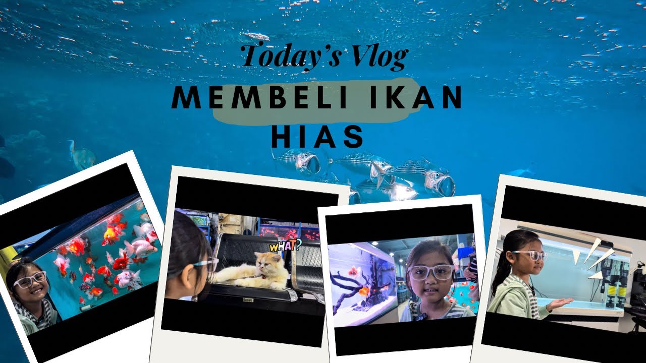 Berburu ikan hias lucu-lucu banget #fyp #viral #trending #liburan 