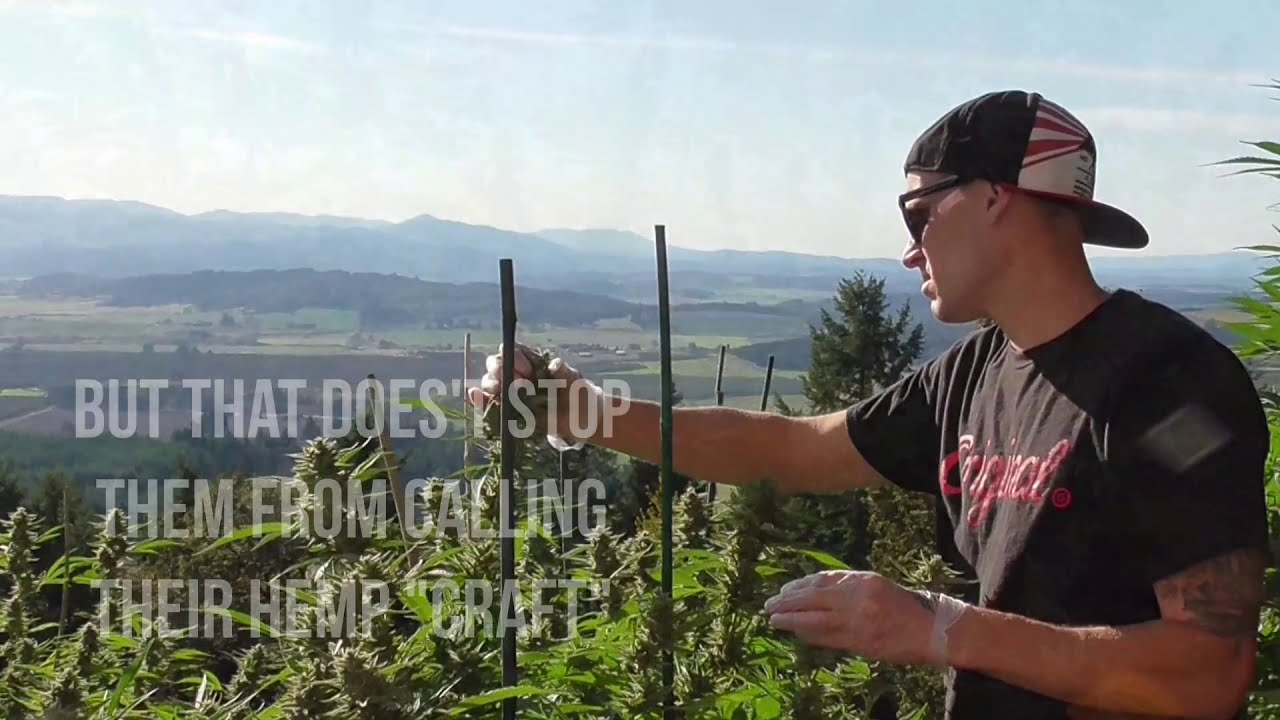 Dreamland Organics - Craft Hemp Flower Farm - We Don't Grow The Same!