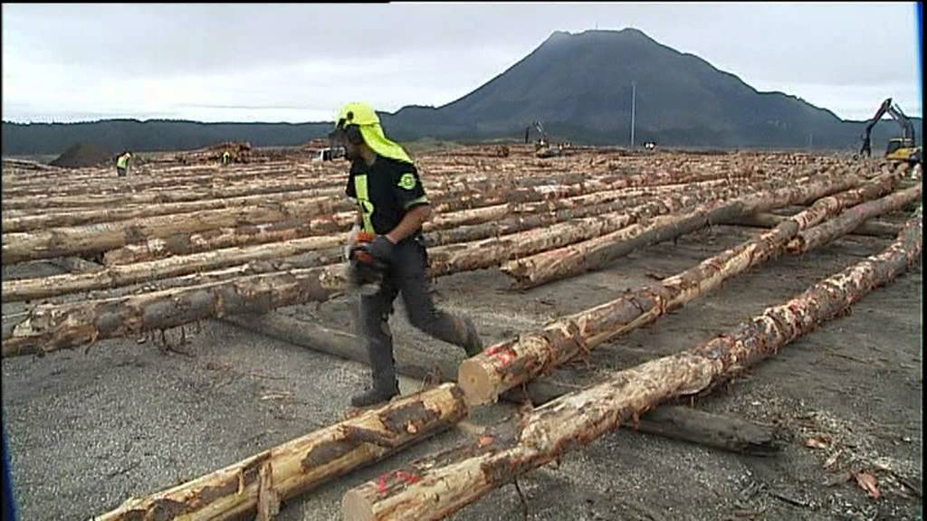 A successful Maori forestry business with an unusual recruitment technique
