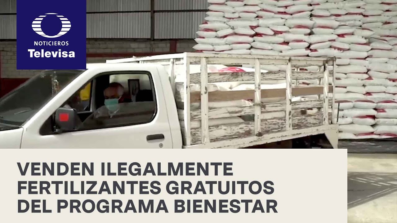 Fertilizantes gratuitos del programa Bienestar se venden ilegalmente por toneladas en Guerrero