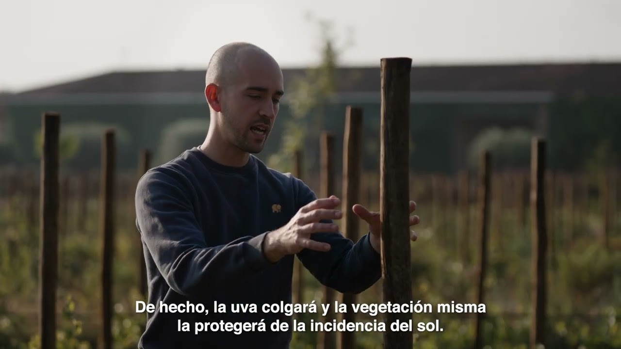 Keyline y la agroforestería en Mas La Plana