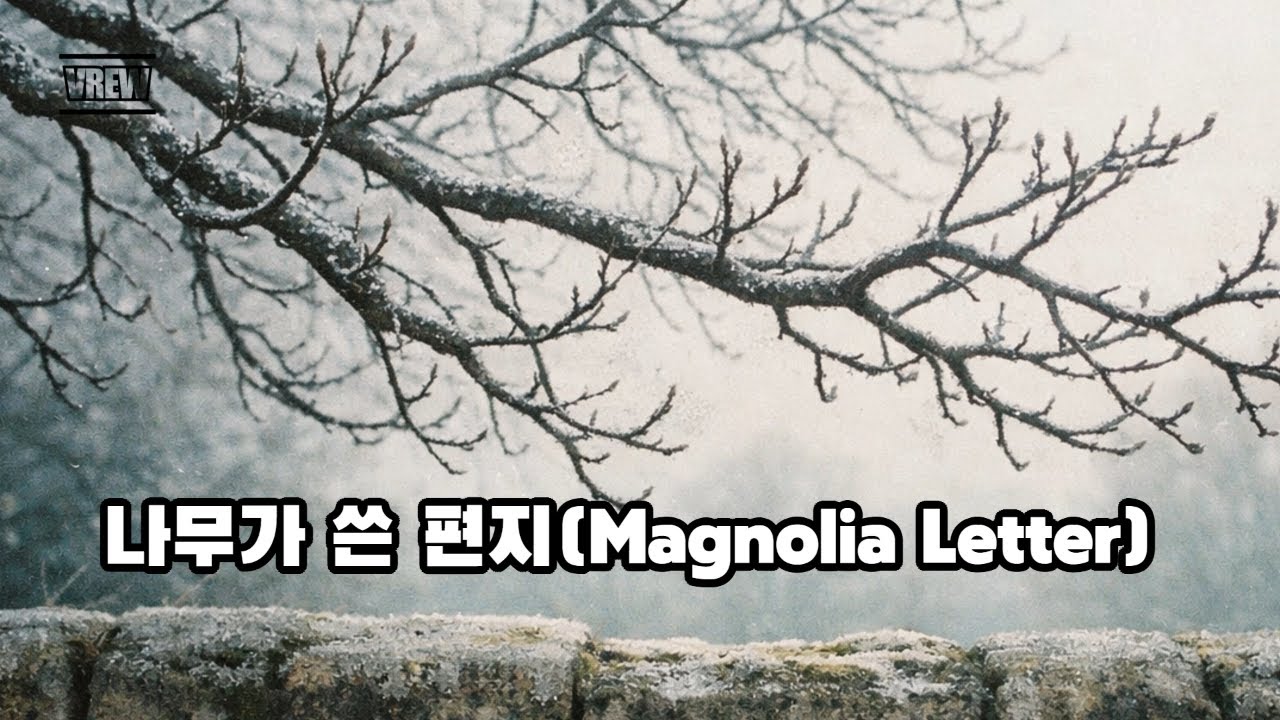 아직 봄이 오지 않은 당신에게 보내는 편지 | 나무가 쓴 편지(Magnolia Letter) | 지친 하루를 끄는 법 | MU:ON 감성 | 스트레스 완화 음악 | 일상공감 음악