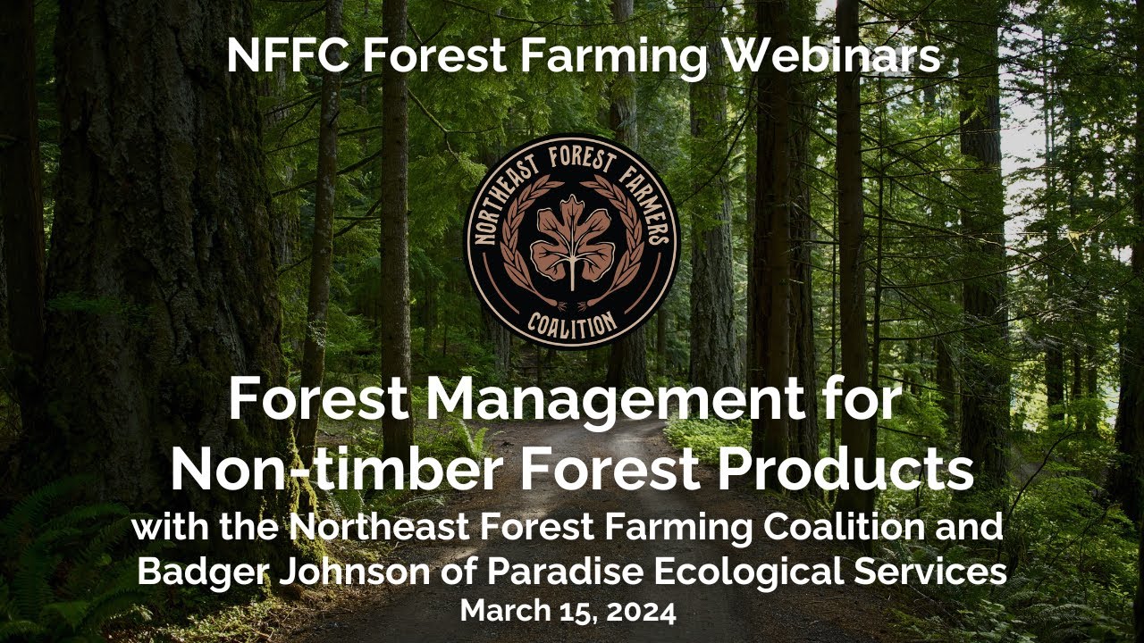 Forest Management for NTFPs: Forest Stand Improvement with Mushrooms in Mind