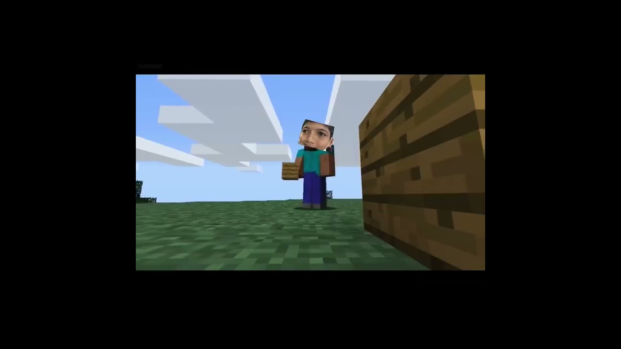 Minecraft trailer edit (YTP)&hellip;