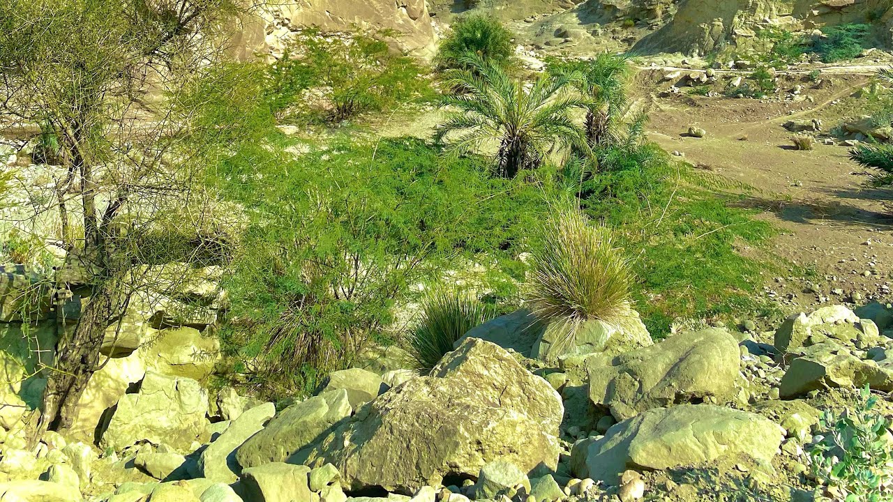 ایک خوبصورت داستان گل باز خان شاعر کا