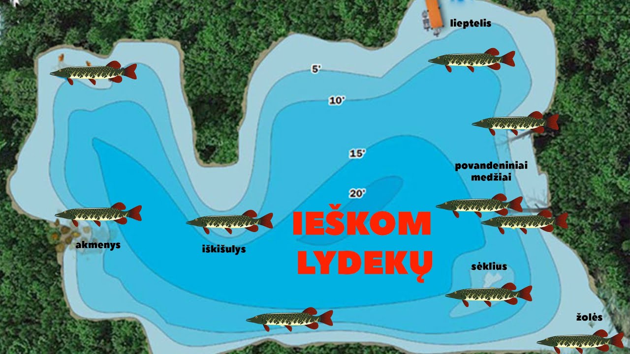 Velkiavimas rudenį.  Lydekų paieška naujame telkinyje. Žvejyba ežere guminukais ir vobleriais.