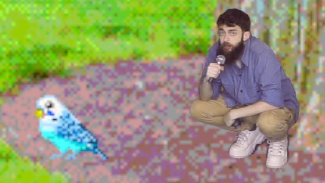 The Little Birdwatcher (music video)