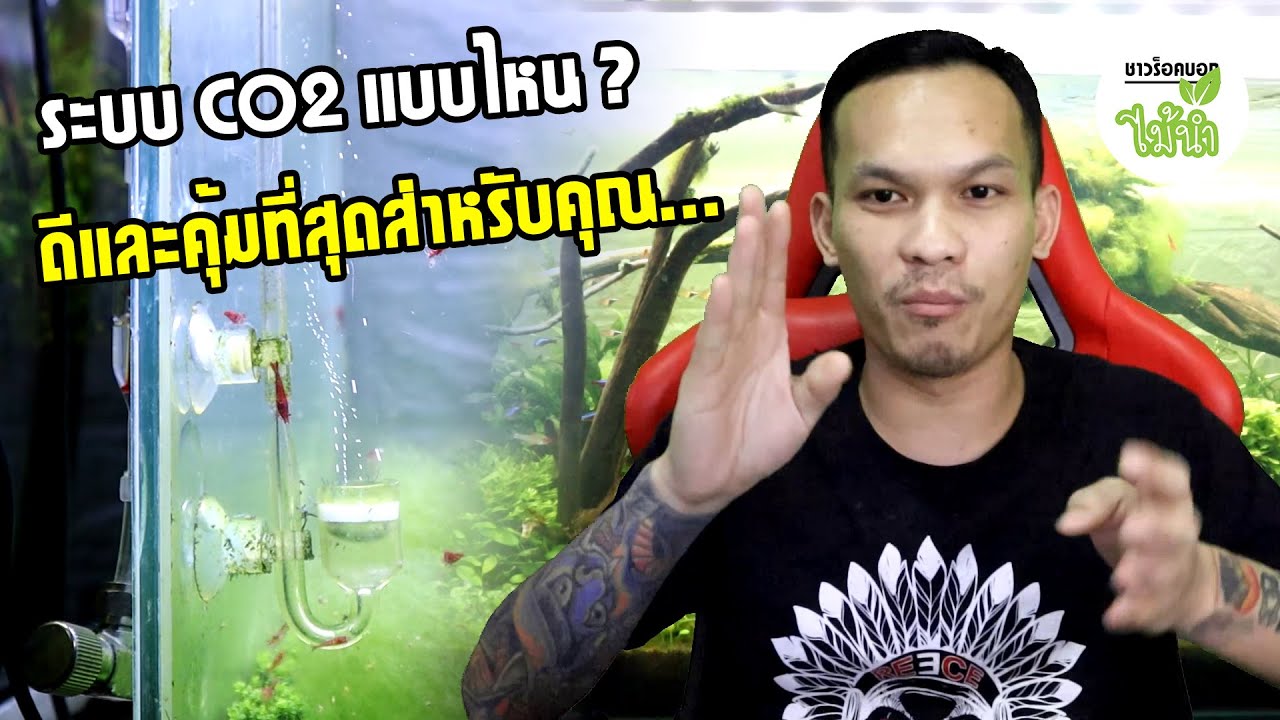 ระบบ CO2 ยีสต์, AB, ถัง แบบไหนดีและคุ้มค่าที่สุด? | ชาวร็อคบอกไม้น้ำ