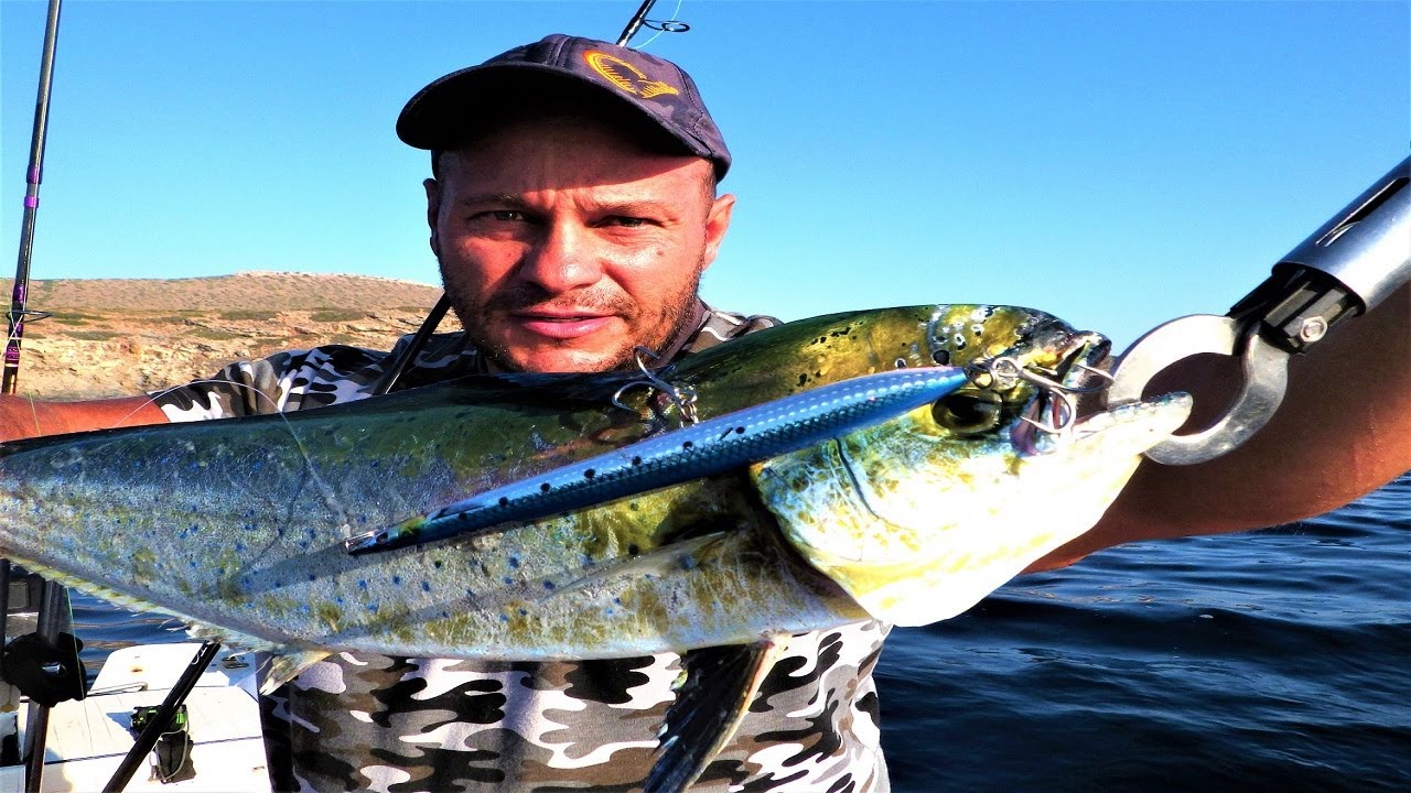 Mahi Mahi Wars с Surfwalker и панической добычей!