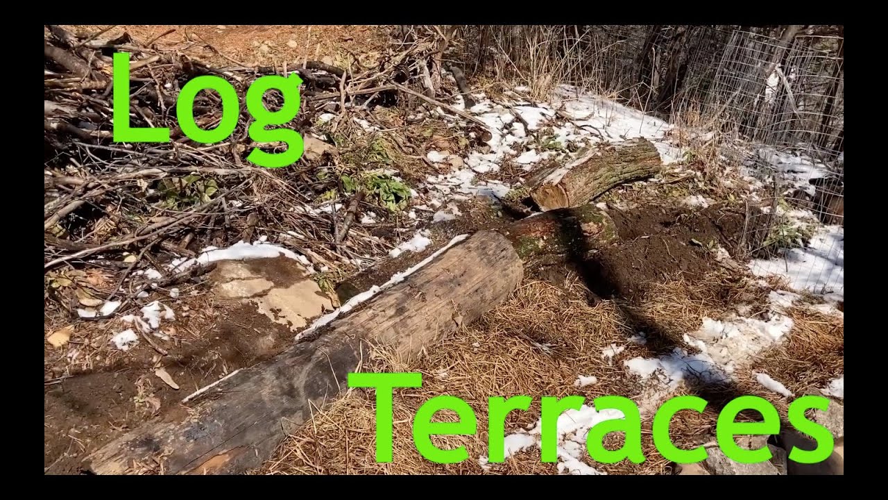 Making Terraces From Logs - In Depth
